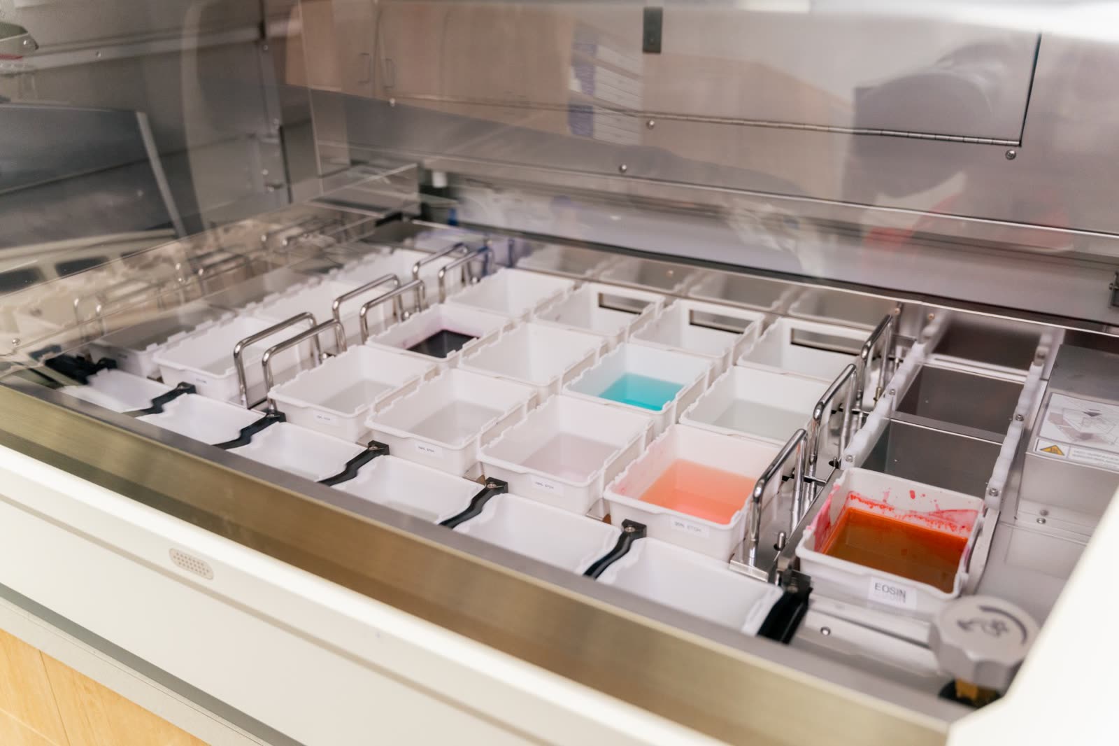 Tissue processing and staining equipment in the lab